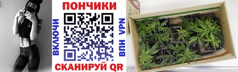 Купить COCAIN  Alpha-PVP  Псилоцибиновые грибы  Меф мяу мяу  Ржев