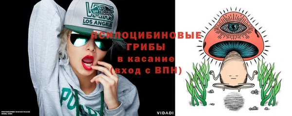 гидропоника Медвежьегорск