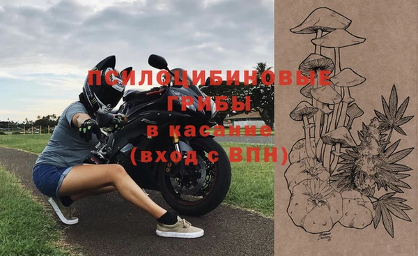 гидропоника Медвежьегорск